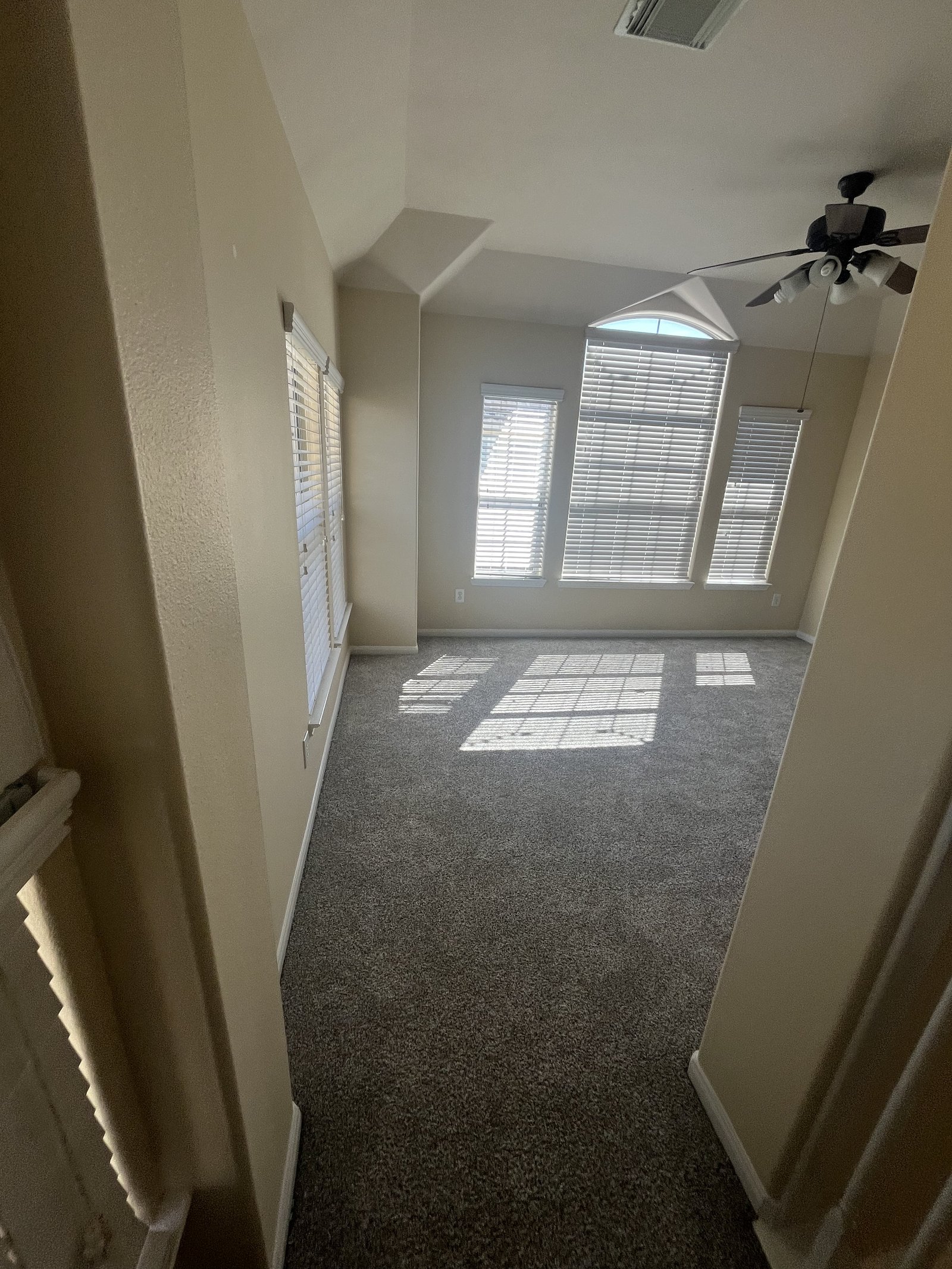 Carpet removal & engineered wood floor