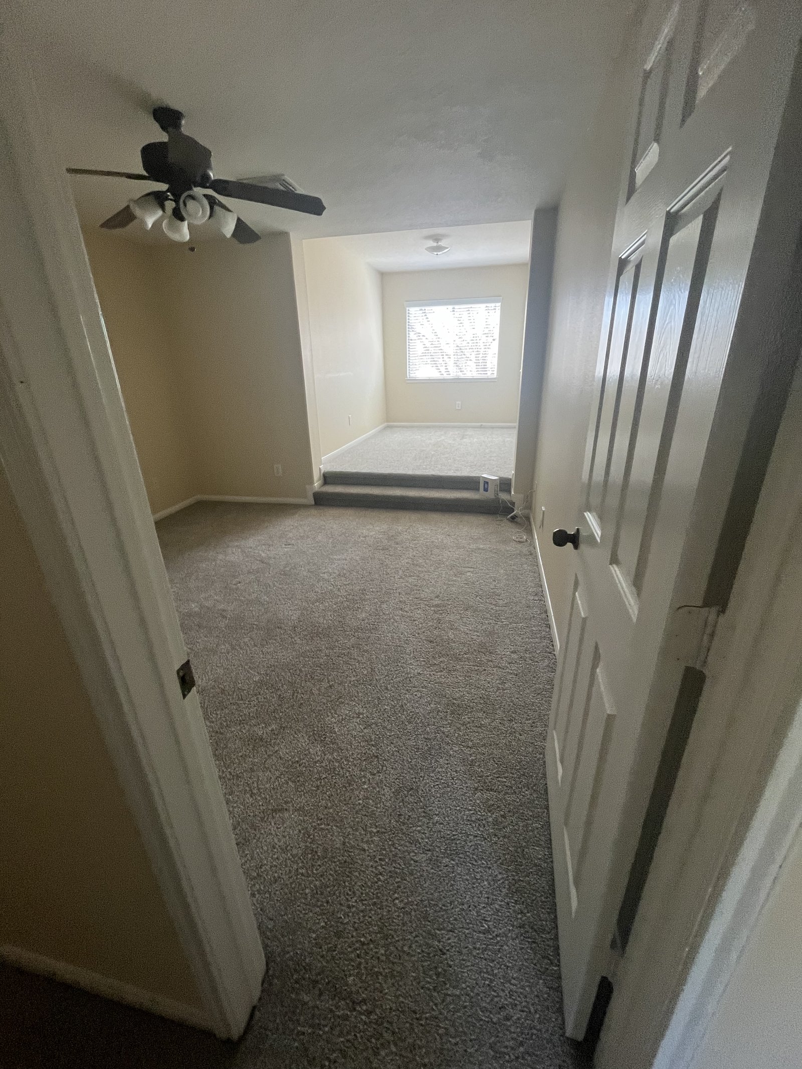 Carpet removal & engineered wood floor
